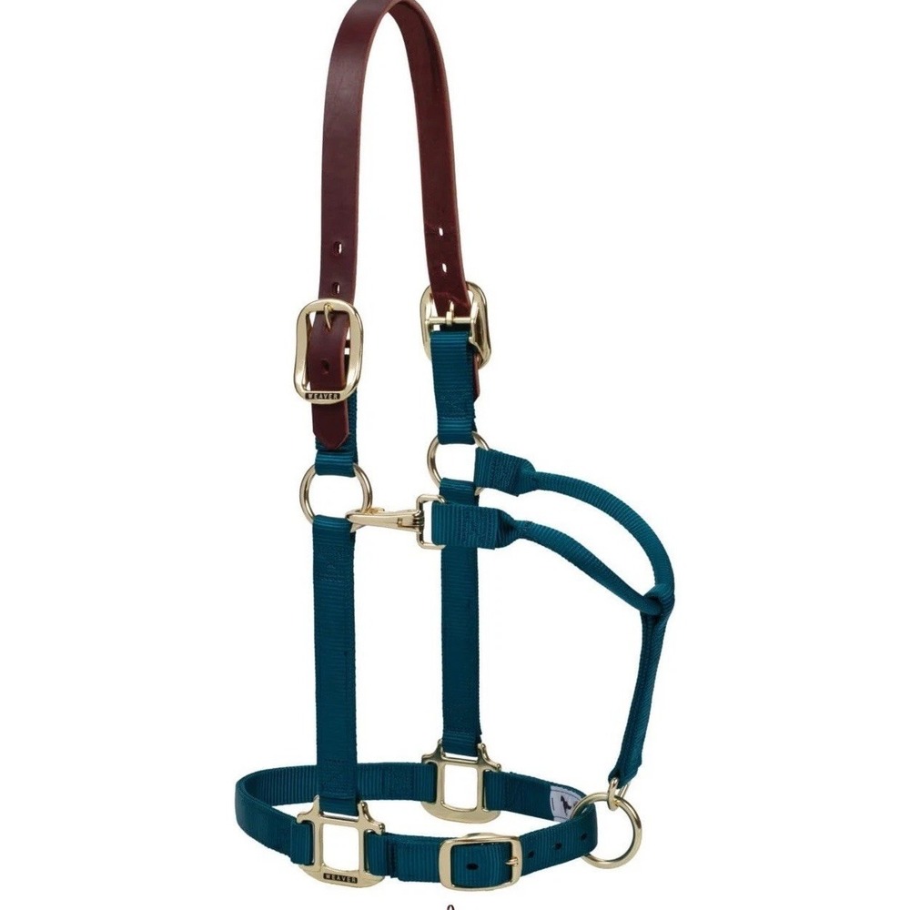 Weaver Leather 1" Breakaway Small‎ Halter No Crown Teal